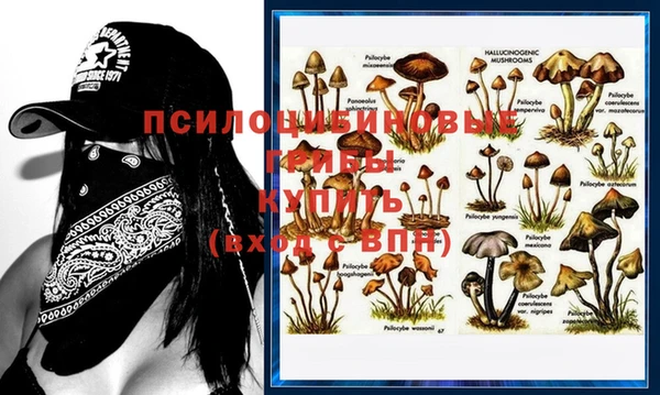 прущие крисы Сафоново