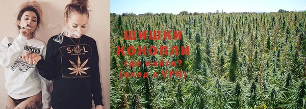 прущие крисы Сафоново
