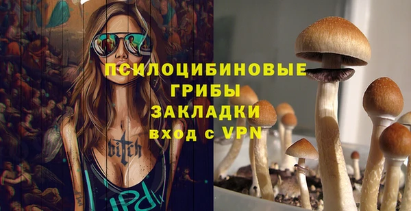 мдпв Сатка