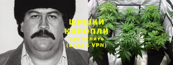 мдпв Сатка
