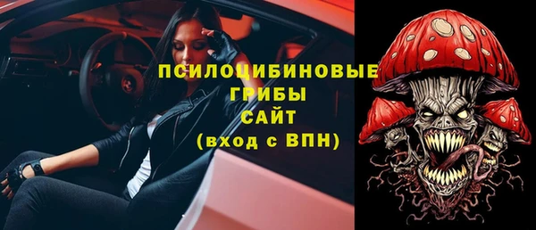 мдпв Сатка
